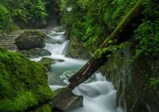 jbo竞博·(电竞)Dota2、LoL、CSGO等电竞赛事竞猜